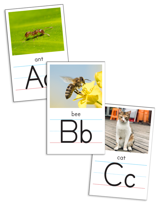 EC3-GL1 Alphabet Cards—Manuscript with Pictures