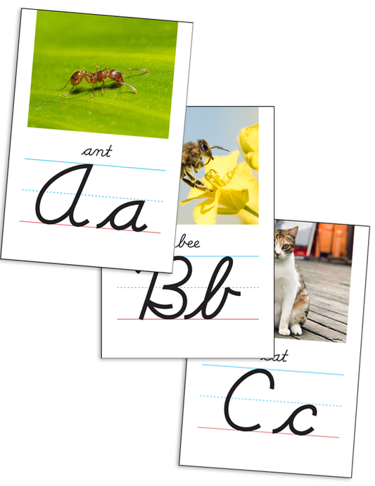 EC3-GL1 Alphabet Cards—Cursive with Pictures