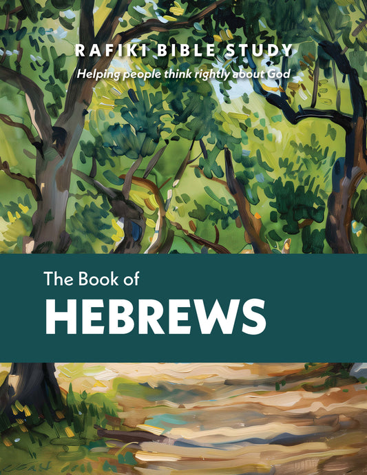 Hebrews (Group Bible Study)