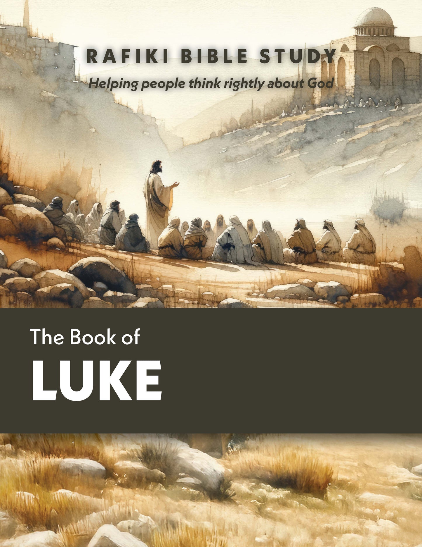 Luke (Group Bible Study)